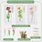 3 Pieces Cross Stitch Bookmark Kits, DIY Stamped Embroidery Bookmark Kit for Beginner Flower Patterns 14 Count Crossstitch Projects for Book Lovers